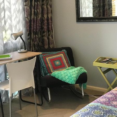 Cosy Caversham Retreat ダニーデン エクステリア 写真