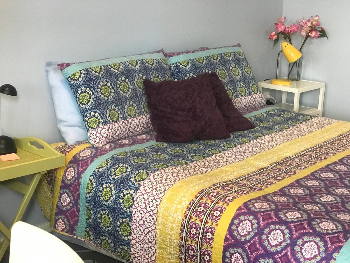 Cosy Caversham Retreat ダニーデン エクステリア 写真